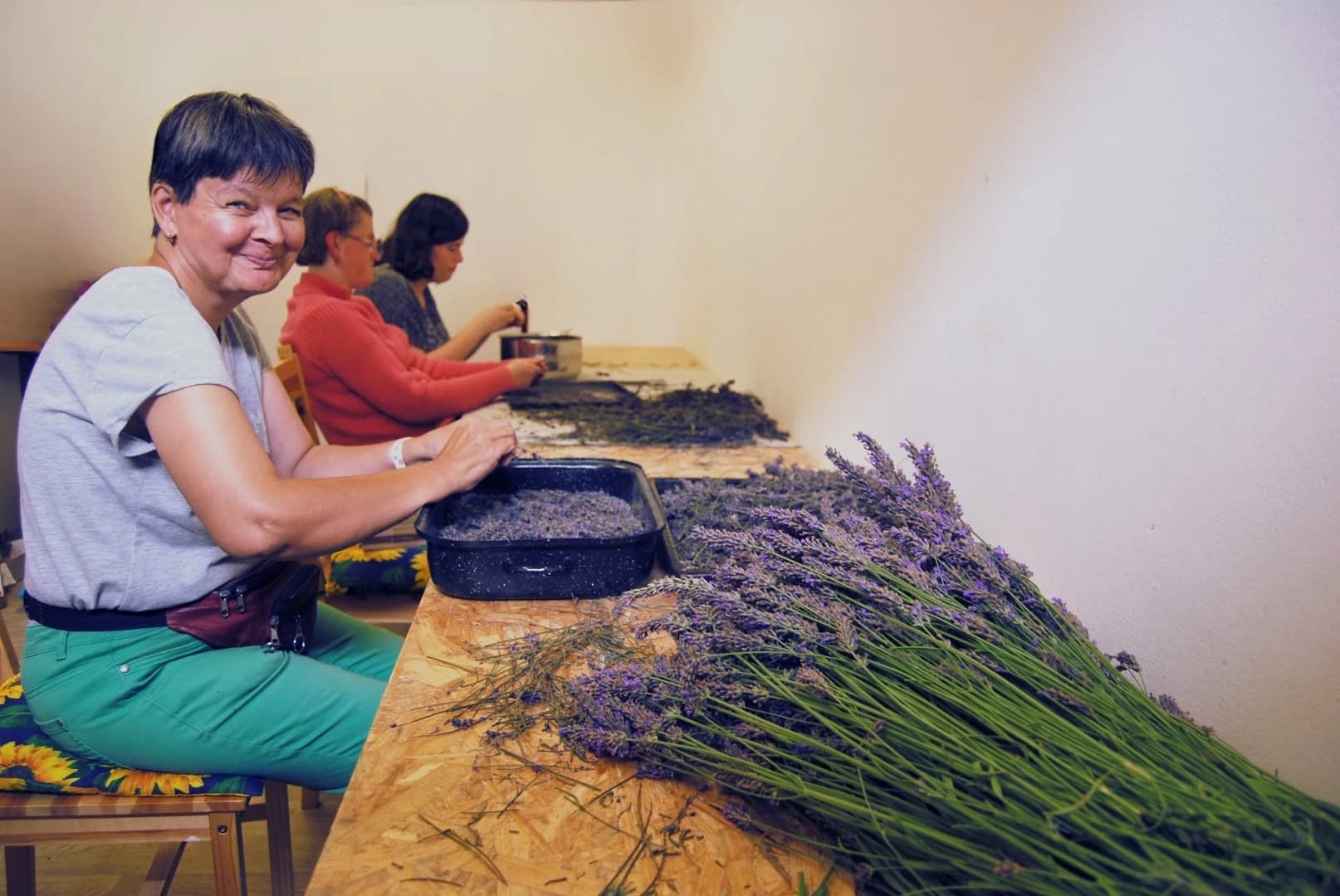 Pozadí pro Podpořte chráněnou dílnu nákupem kvalitních výrobků